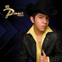 El Paul De Mexicali